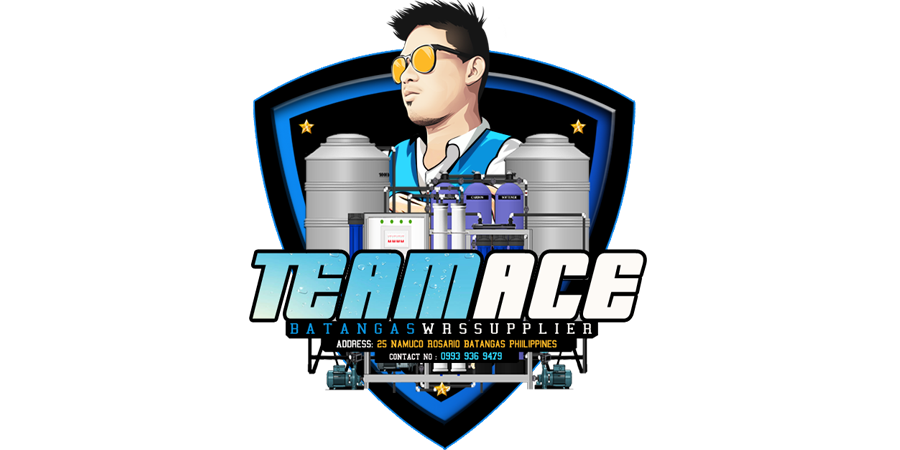 TeamAce Logo